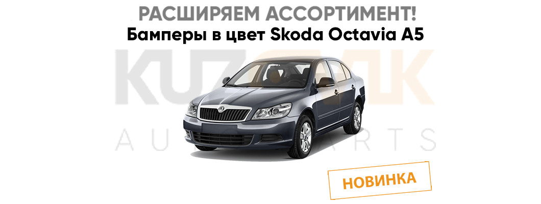 Расширяем ассортимент Skoda Octavia Расширяем ассортимент Skoda Octavia
